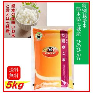 ヒノヒカリ 七城米 5kg 令和6年産 七城の米 ひのひかり 当店人気 ヒノヒカリ 七城米 5kg 令和6年産 七城の米 ひのひかり 当店人気