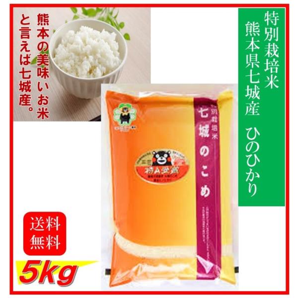 新米　米　お米　５ｋｇ　熊本県産　七城のこめ　ひのひかり　特別栽培米　令和７年産　送料無料　