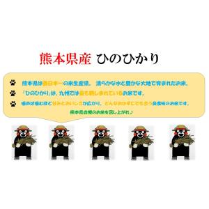 米 お米 2kg 無洗米 熊本県産 ひのひかり...の詳細画像1