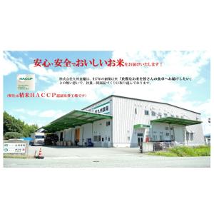 米 お米 2kg 無洗米 熊本県産 ひのひかり...の詳細画像2