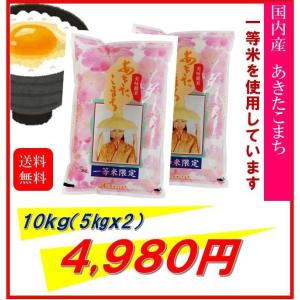 米　お米　１０ｋｇ　（５ｋｇ×２）　一等米　あきたこまち　国内産　令和５年産　　