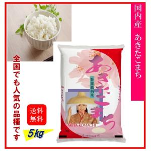 ななつぼし 米5kg 北海道きたそらち産 令和6年産 【事業所配送（個人宅