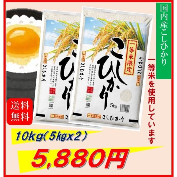 米　お米　１０ｋｇ　（５ｋｇ×２）　一等米　こしひかり　国内産　令和５年産　送料無料