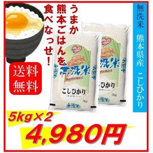 米　お米　１０ｋｇ（５ｋｇ×２）　無洗米　熊本県産　こしひかり　令和５年産　送料無料　