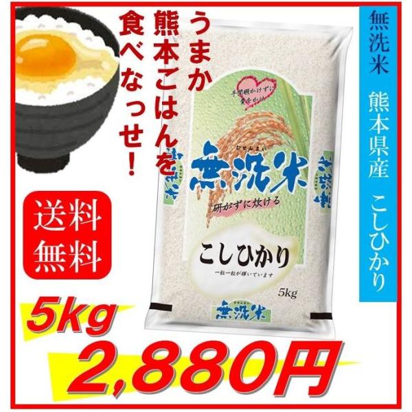 米　お米　５ｋｇ　無洗米　熊本県産　こしひかり　令和５年産　送料無料　