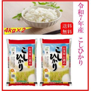 米 お米 5kg 熊本県産 凄い玄米 ひのひかり 令和7年産 送料無料