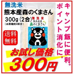 米　お米　くまモン　無洗米　森のくまさん　熊本県産　令和３年産　お試し　３００ｇ