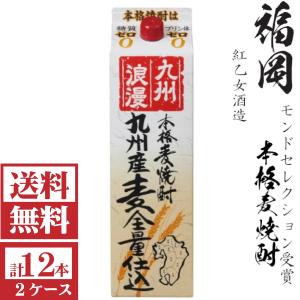 いいちこ25度 [送料無料]本格麦焼酎 いいちこ25度1800mlパック2ケース
