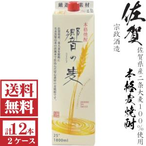 いいちこ25度 [送料無料]本格麦焼酎 いいちこ25度1800mlパック2ケース