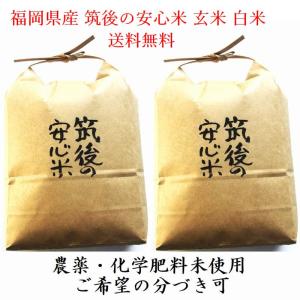 5年度産 こだわりの玄米 筑後の安心米 発芽玄米がつくれる 玄米10kg 無農薬 無化学肥料 九州 福岡産 (白米10kg可)｜kyusyusancyoku1