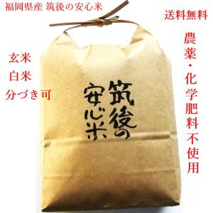 5年度産 こだわりの玄米 筑後の安心米 発芽玄米が作れる玄米5kg 無農薬 無化学肥料 九州 福岡産 白米5kg可｜kyusyusancyoku1