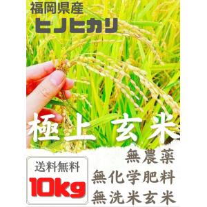 早期予約】【新米】無農薬玄米10kg10キロ 農家直送 福岡県産 ヒノヒカリ 令和６年新米 送料無料 玄米 白米 野菜｜九州野菜 江上ファーム