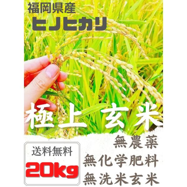 【新米】無農薬玄米20kg 20キロ 農家直送 福岡県産 ヒノヒカリ 令和７年新米 送料無料 玄米