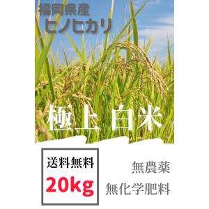 新米】無農薬白米10kg 10キロ農家直送福岡県産 ヒノヒカリ 令和7年