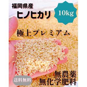 早期予約】【新米】極上プレミアム　無農薬玄米　10キロ　10kg　福岡県産　ヒノヒカリ　令和６年産　送料無料　