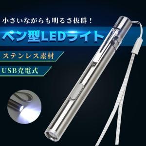 極眩 小型 ペン型 LED ライト コンパクト ステンレス 明るい ＵＳＢ 充電 懐中電灯 作業灯 ...