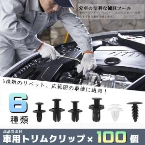 トリムクリップ リベット 100個 6種類 トリ...の商品画像