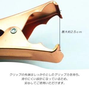 バッテリークリップ 100A ワニ口クリップ ...の詳細画像4