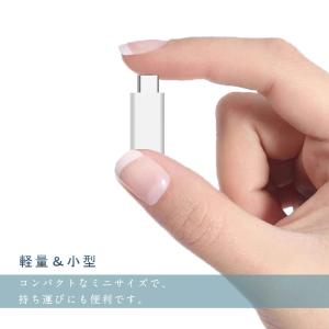 Lightning to Type-C ライト...の詳細画像2