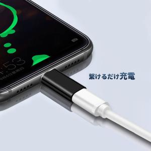 Lightning to Type-C ライト...の詳細画像3