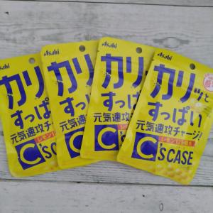 アサヒ シーズケース 22g×4袋 メール便送料無料 ポイント消化 1000｜kyuusan-food