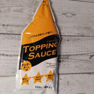 トッピングソース チェダーチーズ味 300g 業務用タイプ メール便送料無料 ポイント消化 商品券 消化 使える 店 食品