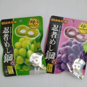 UHA味覚糖 味覚糖 激シゲキックス 極刺激ソーダ 20g×10入 (最短当日