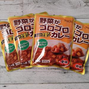 ハチ食品 野菜がゴロゴロたっぷり大盛りカレー 中辛 250g×4袋 メール便送料無料 ポイント消化 1000