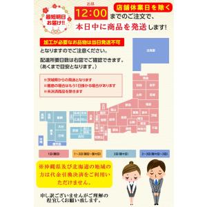 半衿Tシャツ メンズ 半袖 肌着 EIZI 半...の詳細画像4