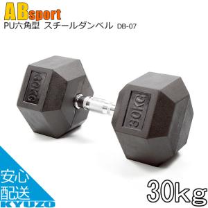 Absports 50141 PU六角型スチールダンベル ダンベル 30kg｜kyuzo-shop