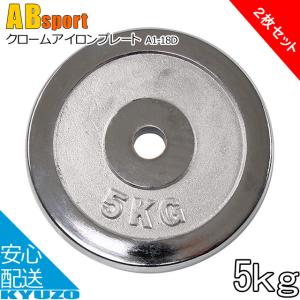 Absports 50195 クロームアイロンプレート 5kg｜kyuzo-shop