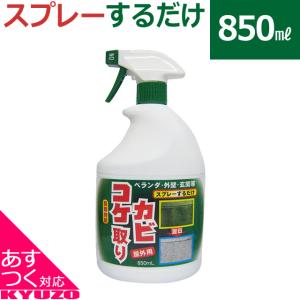 トーヤク カビ コケ取り コケ取り スプレー コケそうじ