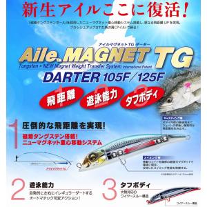 DUEL 125F 27g アイルマグネット ...の詳細画像2