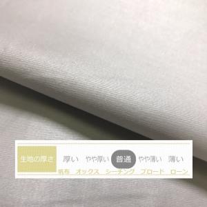 Lサイズ枕カバー ワン グレー サテン 額縁 ...の詳細画像1