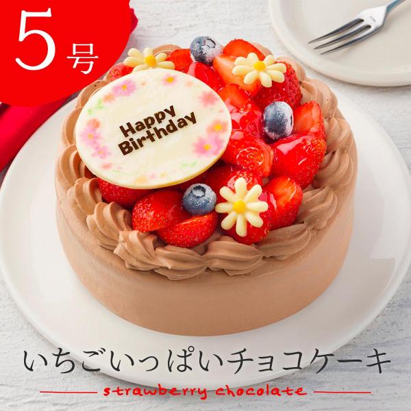 誕生日 チョコレートケーキ 5号 いちごいっぱいチョコケーキ 直径15cm デコレーションケーキ 最...