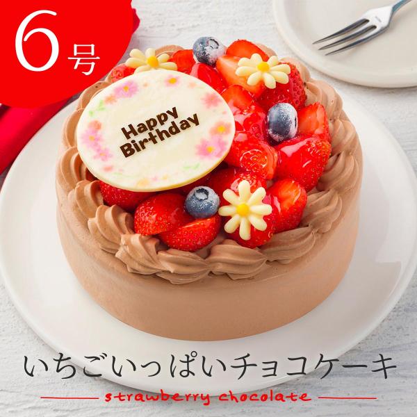 誕生日 チョコレートケーキ 6号 いちごいっぱいチョコケーキ 直径18cm デコレーションケーキ 最...