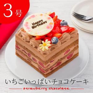誕生日 チョコレートケーキ 3号 いちごいっぱいチョコケーキ 9cm×8cm 1人用 2人用 最短当日出荷 あすつく