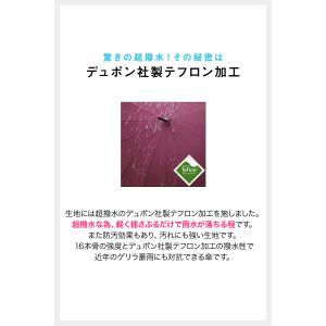 1年保証 24本骨傘 雨傘 長傘 超撥水 レデ...の詳細画像2