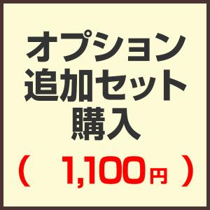 オプション追加セット購入ページ （セットで購入済みの為こちらから購入する必要はありません）（1,100円)