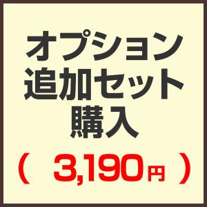 オプション追加セット購入ページ （セットで購入済みの為こちらから購入する必要はありません）（3,190円)