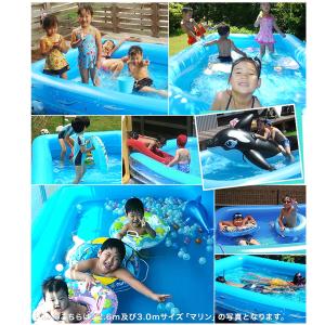 1年保証 プール 家庭用プール 3m カバー付...の詳細画像2