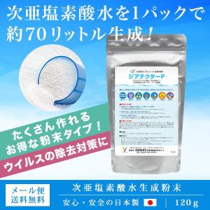 プール除菌剤 日本製 プール塩素 約70L分 120g 家庭用プール