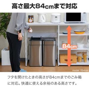 1年保証 キッチンカウンター ゴミ箱 収納 1...の詳細画像3