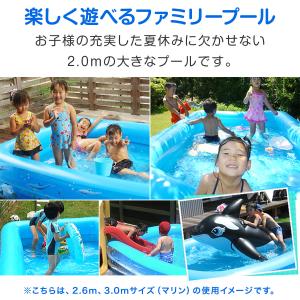 1年保証 ビニールプール 大型 2m 家庭用プ...の詳細画像1