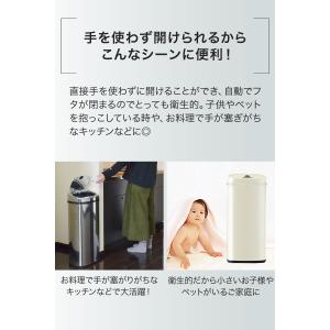 ゴミ箱 自動開閉 42L 1年保証 ふた付 大...の詳細画像3