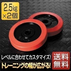 ダンベル バーベル 用 プレート 2.5kg 2個セット ブラックアイアン +