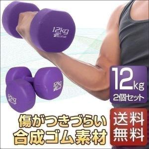 FIELDOOR 1年保証 ダンベル 12kg 2個セット 合計24kg カラーダンベル