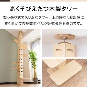 1年保証 キャットツリー タワー 突っ張り 全...の詳細画像1
