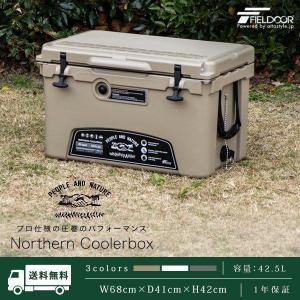 1年保証 クーラーボックス 大型 42.5L 45QT クーラーバッグ ハード