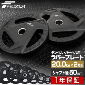 ダンベルプレート 穴あき 20kg 2枚セット 穴径50mm 追加 バーベル用